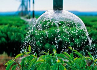 Jaguaré decreta racionamento de água