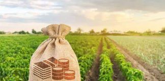 BNDES disponibiliza mais R$ 1,4 bi para o Plano Safra 2023/24