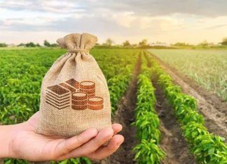 Aplicações de crédito rural no Espírito Santo seguem em alta no Plano Safra 2023/2024