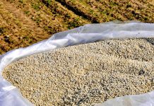 Entregas de fertilizantes cresceram 12,5% de janeiro a outubro de 2023