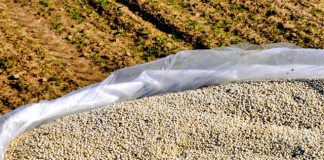 Entregas de fertilizantes cresceram 12,5% de janeiro a outubro de 2023