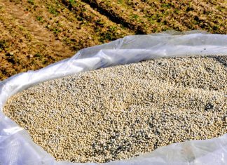 Profert representa impulso estratégico para a indústria nacional de fertilizantes