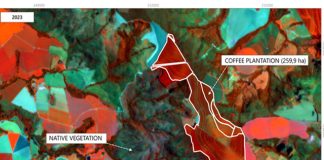 Plataforma de Rastreabilidade fortalece sustentabilidade dos cafés do Brasil ao mercado global