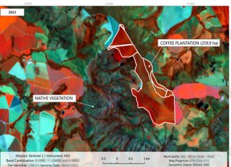 Plataforma de Rastreabilidade fortalece sustentabilidade dos cafés do Brasil ao mercado global