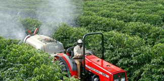 Deputados pedem celeridade na regulamentação do trânsito de máquinas em vias públicas