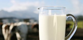 CMN aprova linha de crédito especial para produtores de leite do Brasil