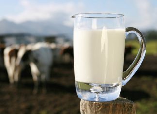 CMN aprova linha de crédito especial para produtores de leite do Brasil