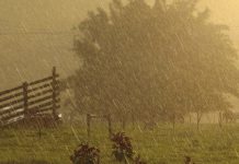 Entidade prevê semana de muita instabilidade e chuvas espalhadas por todo Brasil