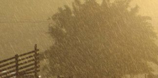 Novos alertas de chuvas intensas para todas as cidades do Espírito Santo