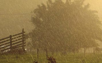 Novos alertas de chuvas intensas para todas as cidades do Espírito Santo