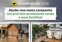 Sistema Faes/Senar-ES e Sindicatos Rurais unidos em prol das famílias rurais