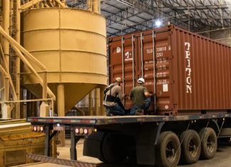 Cooabriel avança na exportação de conilon e registra crescimento de 28% em 2023