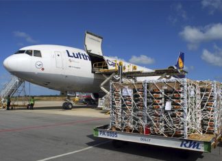 Mamão brasileiro em alta no mercado internacional