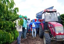 Cooperados da Cooabriel participam de capacitação para operação e manutenção de recolhedoras de café