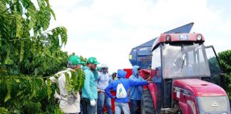 Cooperados da Cooabriel participam de capacitação para operação e manutenção de recolhedoras de café