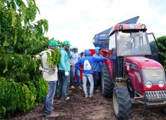 Cooperados da Cooabriel participam de capacitação para operação e manutenção de recolhedoras de café
