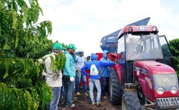 Cooperados da Cooabriel participam de capacitação para operação e manutenção de recolhedoras de café