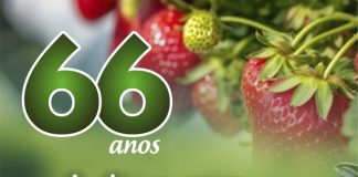 SEEA celebra 66 Anos de dedicação à Agronomia