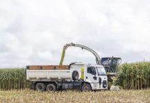 Nater Coop realiza segunda colheita do Programa de Silagem de Milho