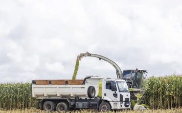 Nater Coop realiza segunda colheita do Programa de Silagem de Milho