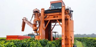 Senar-ES disponibiliza primeiro treinamento de colhedora automotriz do estado