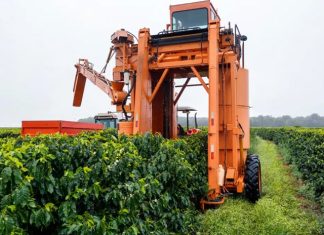 Senar-ES disponibiliza primeiro treinamento de colhedora automotriz do estado