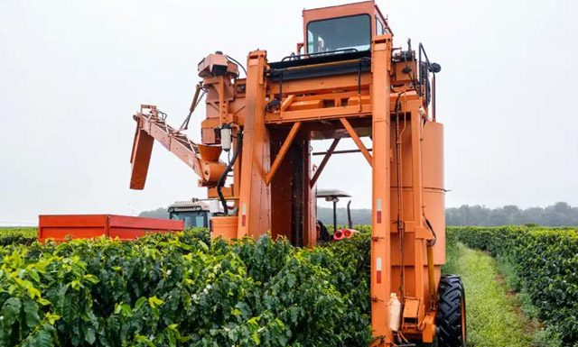 Senar-ES disponibiliza primeiro treinamento de colhedora automotriz do estado