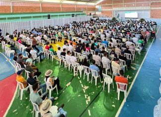 Colatina receberá a 2ª edição do Simpósio de Cafeicultura em outubro