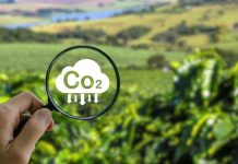 Conheça o projeto de crédito de carbono para cafeicultores