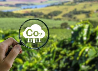 Geração de créditos de carbono pode gerar renda extra para produtores rurais