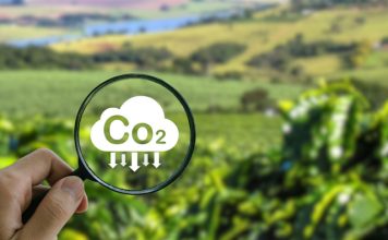 Conheça o projeto de crédito de carbono para cafeicultores