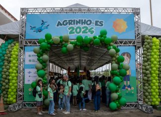 Agrinho 2024 bate recordes de participação e público