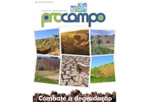 Edição 103 da Revista Procampo circula em todo ES