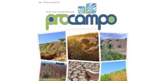 Edição 103 da Revista Procampo circula em todo ES