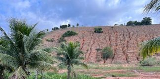 Seea mobiliza esforços para formar comissão contra a degradação de solos no Espírito Santo