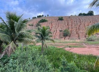 Seea mobiliza esforços para formar comissão contra a degradação de solos no Espírito Santo