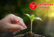 Sementes Vitória celebra três décadas de inovação em consultoria agronômica