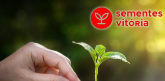 Sementes Vitória celebra três décadas de inovação em consultoria agronômica