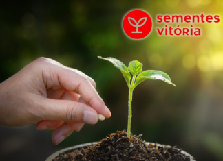 Sementes Vitória celebra três décadas de inovação em consultoria agronômica