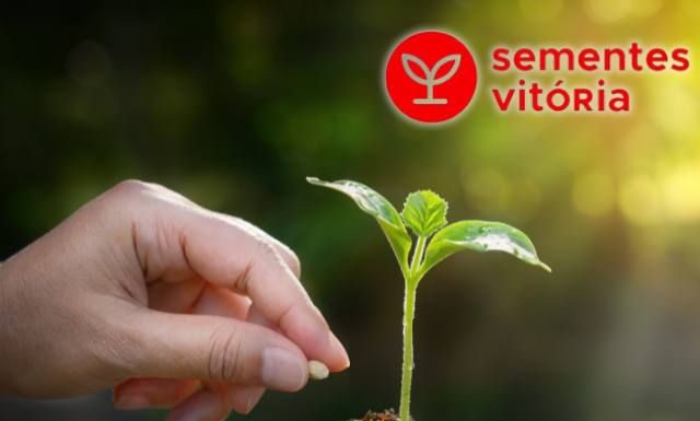 Sementes Vitória celebra três décadas de inovação em consultoria agronômica