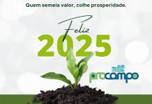 Feliz Natal e um Próspero Ano Novo!