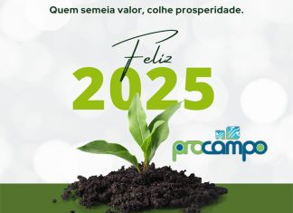 Feliz Natal e um Próspero Ano Novo!