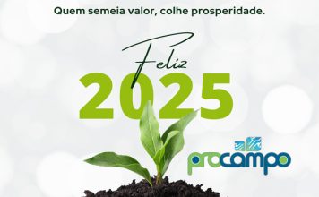 Feliz Natal e um Próspero Ano Novo!