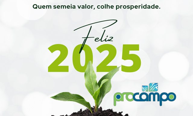 Feliz Natal e um Próspero Ano Novo!