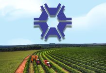 SEEA inicia campanha para fortalecer laços na classe agronômica capixaba