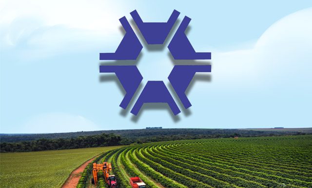 SEEA celebra 67 Anos de dedicação à Agronomia