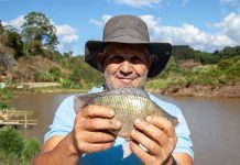 Começo de ano oferece centenas de cursos gratuitos para agricultores