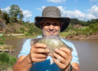 Começo de ano oferece centenas de cursos gratuitos para agricultores