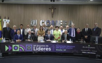 Plenário do Confea debate manutenção de obra pública e qualidade do ensino