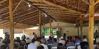 Programa “Conilon Eficiente” gera R$83 milhões em resultados nas propriedades